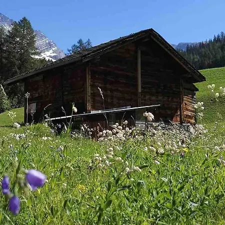 Charming Little Close To Leukerbad Apartment
